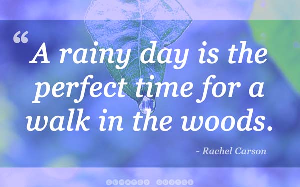 The 61 Best Quotes About Rain - Curated Quotes