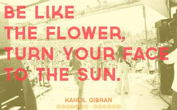 The 52 Best Quotes About Flowers Curated Quotes