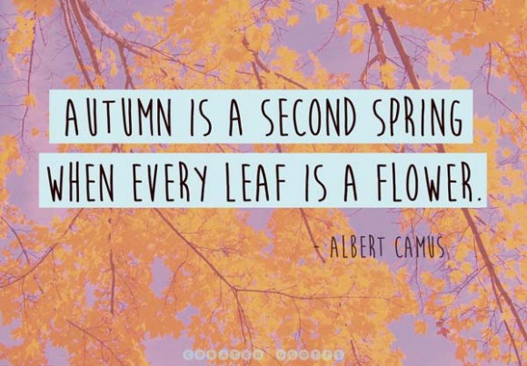 The 36 Best Fall Quotes - Curated Quotes