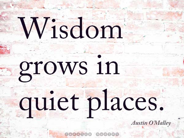 The 91 Best Quotes About Wisdom - Curated Quotes